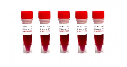 HotStart PCR 2x Master Mix in Red