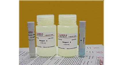 BCA Low Protein  Assay Kit